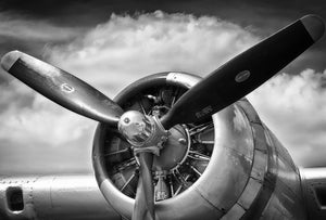 24 x 36 Canvas Print - (No Frame)