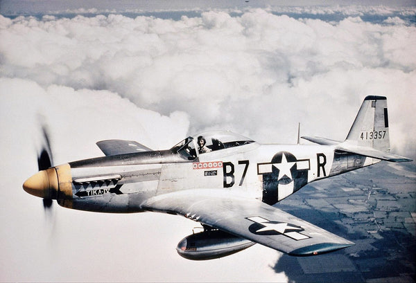 Backwoods Print P 51 Mustang